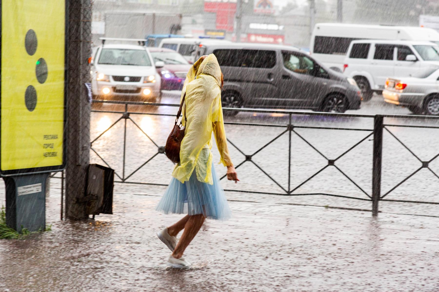 Фото Десять дней дождя ожидается в Новосибирской области после аномальной жары 2
